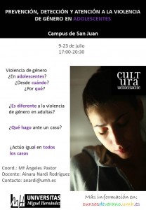 Cursos de verano violencia de género